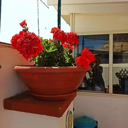 House Solesiculo Lejlighed