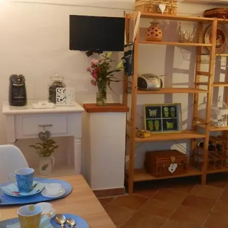 House Solesiculo